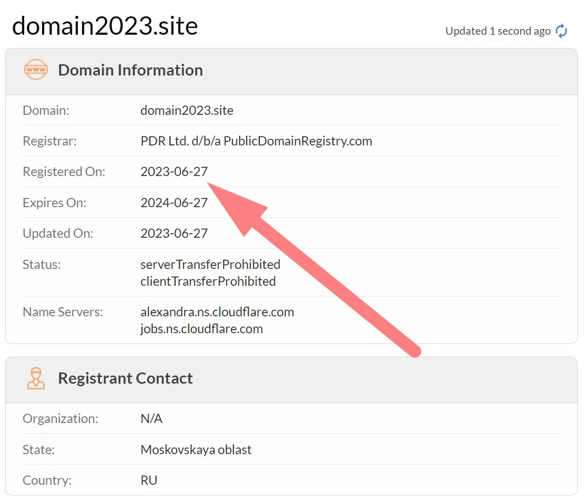 Регистрационные данные домена domain2023.site